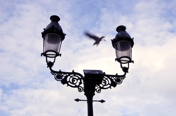 retro street lamps and seagull in motion