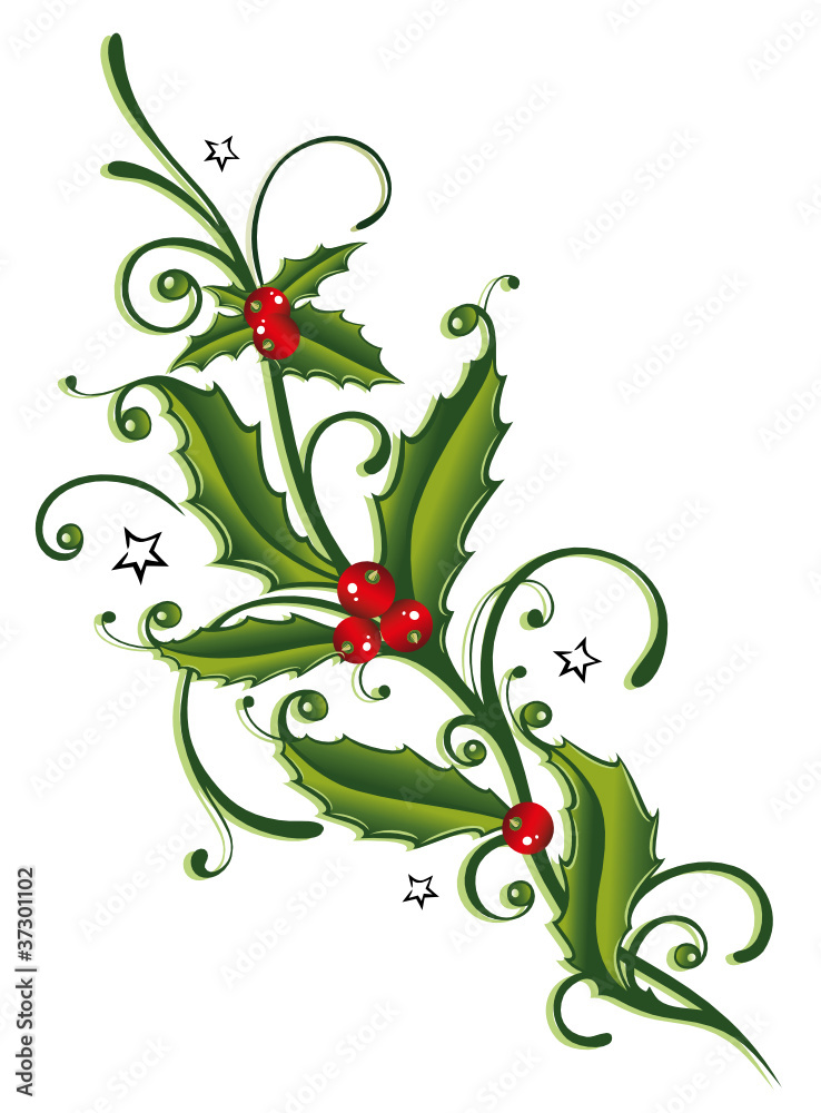 Stock-Vektorgrafik Stechpalme, Weihnachten, Ilix, Jul, vector | Adobe  Stock