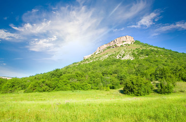 Poster - Green meadow on the sunset.