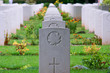 Canadian Soldier WW2 Gravestone Rows in Normandy, France