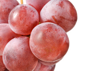 Wall Mural - Purple Grapes Close-Up on White Background