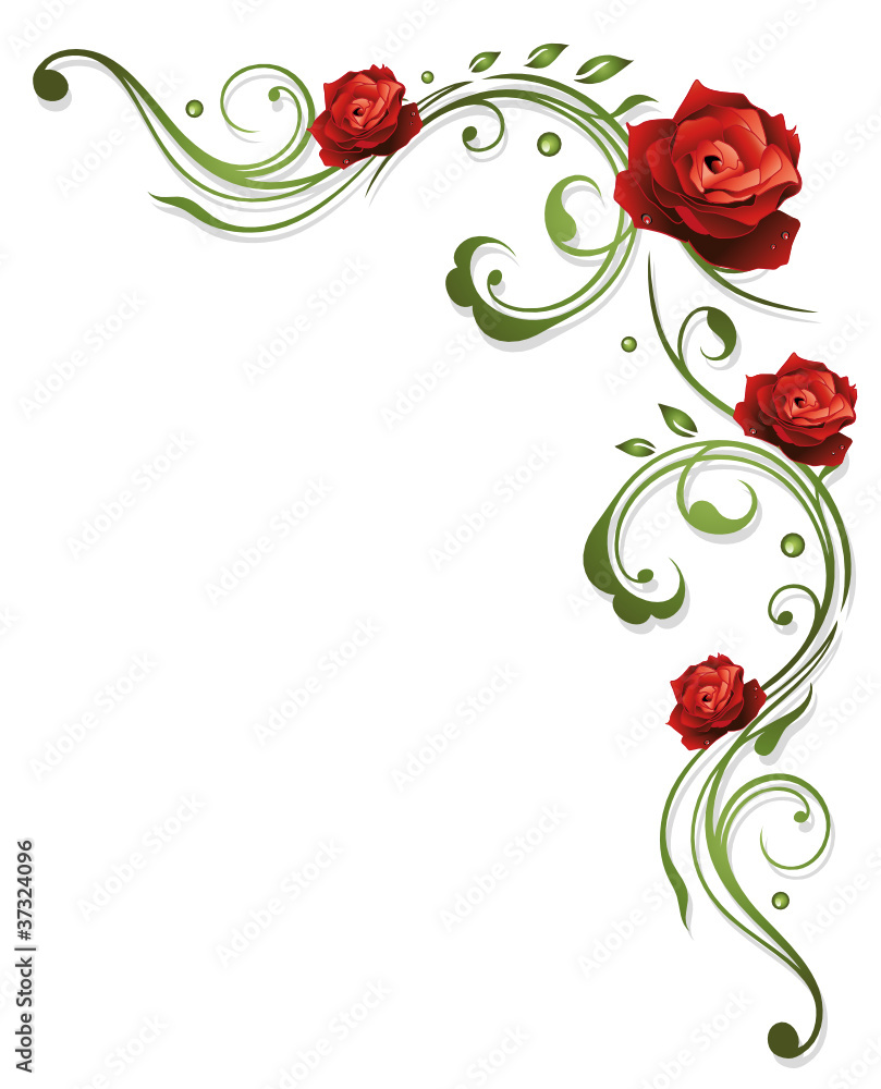 Blumen, Blüten, Rose, Rote Rosen, Filigran, Floral Wall Mural ...