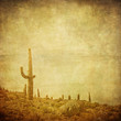 canvas print picture - grunge background with wild west landscape.