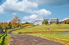 Horse Farm In Kentucky