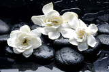 Wet Zen Spa Stones with gardenia flower