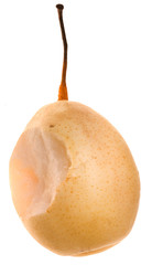 Bit pear