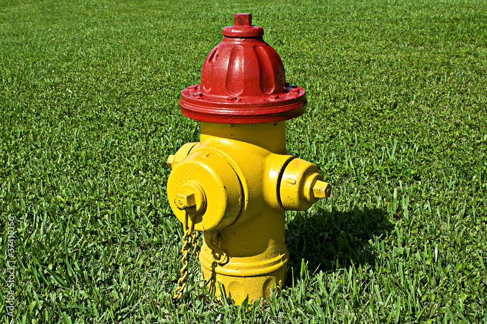 Plugged Hydrant Hydrant Plug Stock Photo | Adobe Stock