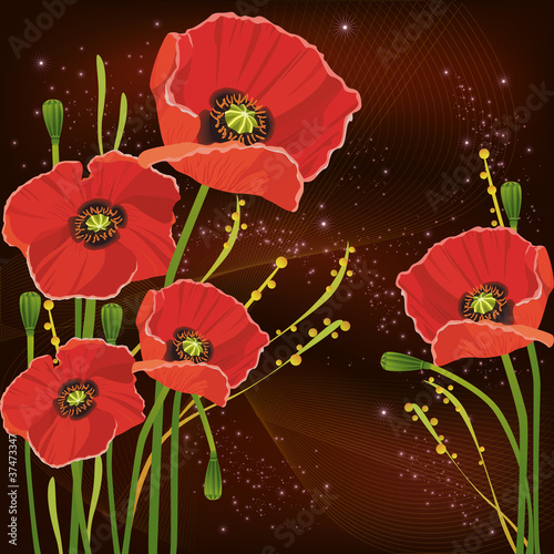 Nowoczesny obraz na płótnie Beautiful red poppies background