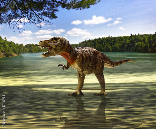 Naklejka ścienna tyrannosaurus looking for food
