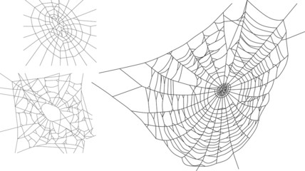Wall Mural - three spider webs isolated on white