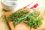 Fototapeta Lawenda - fresh herbs