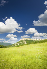 Wall Mural - Green meadow in mountain.