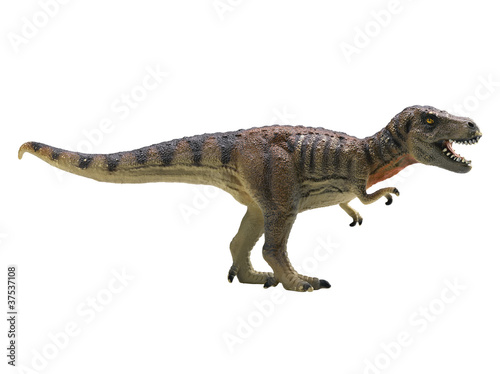Fotografia tyrannosaurus-rex isolated on white background