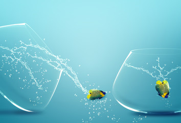 angelfish jumping out of  fishbowl