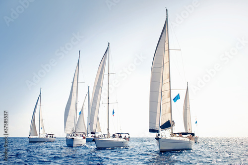 Tapeta ścienna na wymiar Sailing ship yachts with white sails