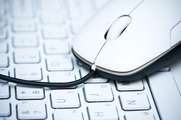 mouse on the keyboard