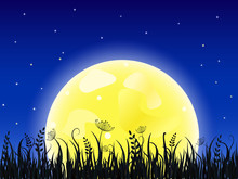 Huge Yellow Moon With Grass Meadow