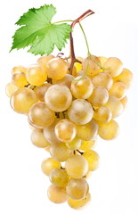 Wall Mural - Yellow grape