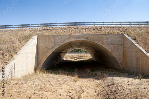 Fotografia, Obraz Wildlife crossing. Picture taken in A-15 motorway, Soria, Spain