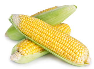 Poster - Fresh corn