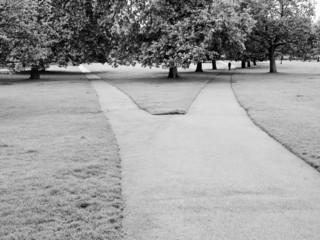 Poster - Regents Park, London