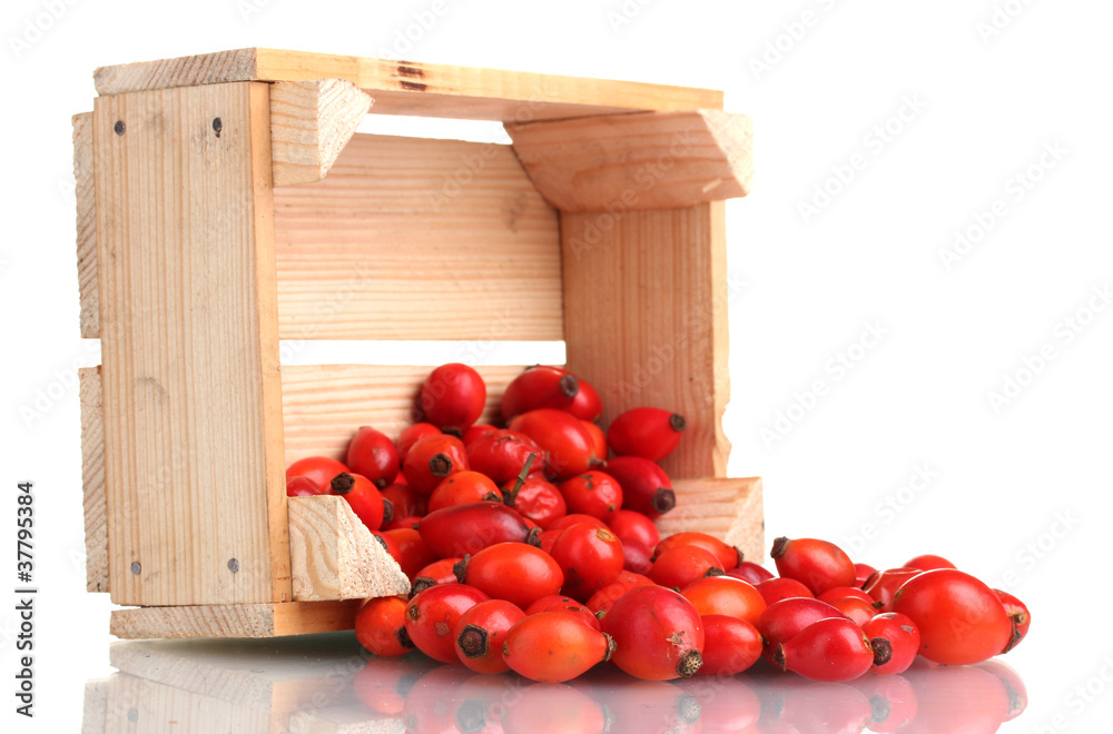ripe briar in wooden box isolated on white