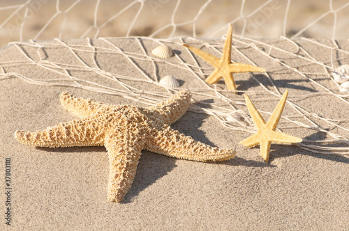 Foto-Fußmatte - Stillleben mit Seesternen, Strandmotiv, Urlaubszeit (von mahey)
