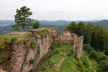 Wall Mural - neuscharfeneck 3609