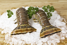 Wild Caught Lobster Tails