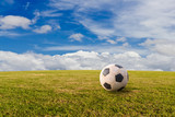 Fototapeta Sport - Football ( soccer ) on green lawn