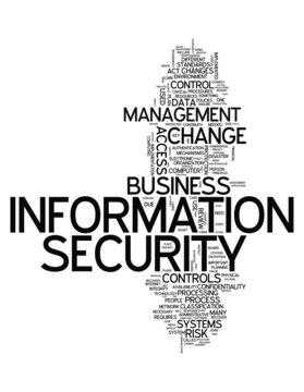Word Cloud 