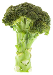 Sticker - broccoli isolated