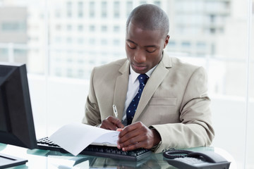 Wall Mural - Entrepreneur signing a document