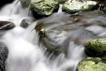 Canvas Print - Mountain stream