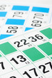 Bingo cards and number thirteen