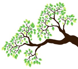 tree branch with green leaves 1
