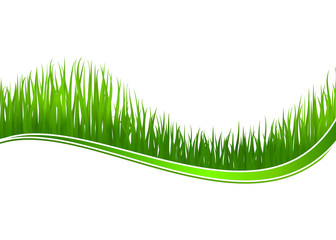 Poster - Fresh grass background
