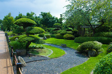 Japanese Garden Topiary