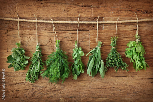 Naklejka - mata magnetyczna na lodówkę Fresh herbs