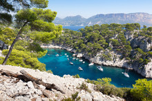 Calanques Of Port Pin In Cassis
