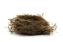 Empty Bird Nest