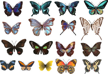 Sticker - set of seventeen butterflies on white