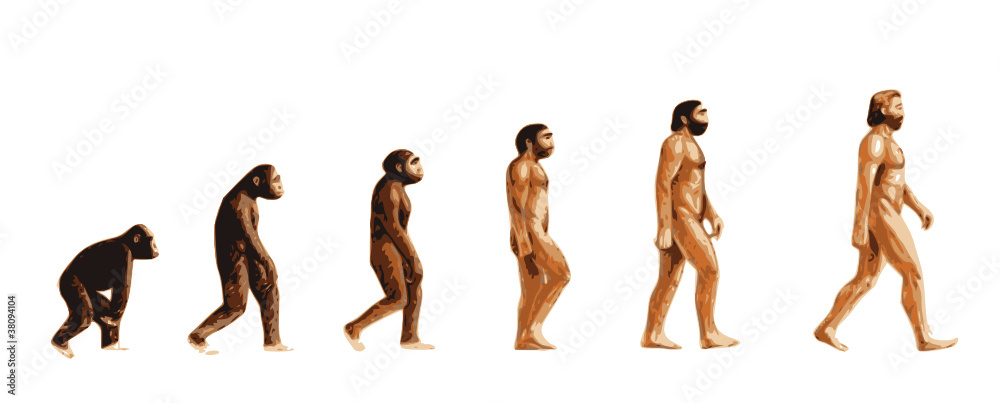 Obraz Evolution de l'homme couleur fototapeta, plakat