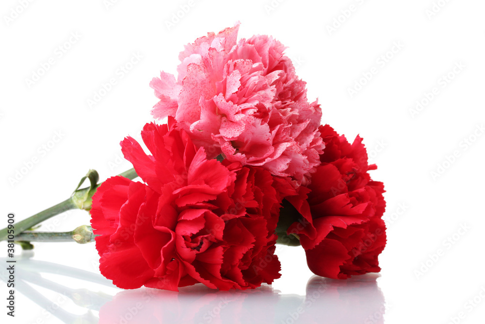 Bouquet of carnations isolated on white