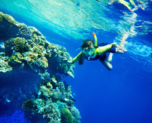 Child Diving Near Coral Reef In  Blue Water.