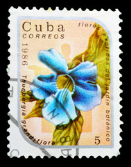 Postage Stamp