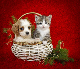 Sticker - Christmas Puppy and Kitten.