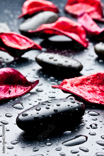 Fototapeta na wymiar pietra nera con gocce d'acqua e petali rossi