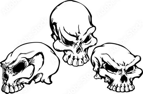 Fotografía Skulls Group with Graphic Vector Images