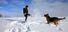 Boy And Dog Playing In Snow